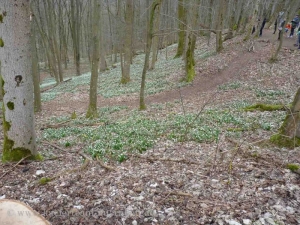 Fruehlingsausfahrt_-_27-27