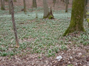Fruehlingsausfahrt_-_31-31