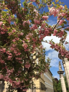 K_T_N_1.Mai_2018_00035