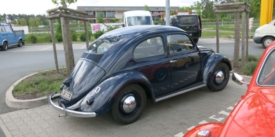 Bug_Hausen-10