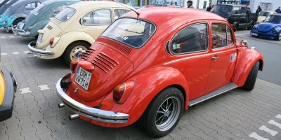 Bug_Hausen-12