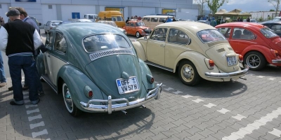 Bug_Hausen-13