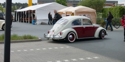 Bug_Hausen-19
