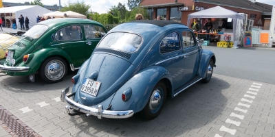 Bug_Hausen-40