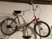 Karpfenfahrt_2024_00047