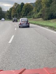 Karpfenfahrt_2024_00073
